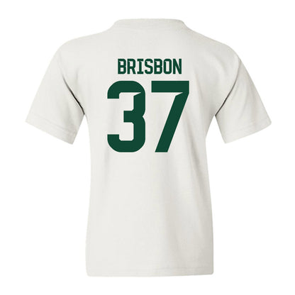Baylor - NCAA Football : Demetrius Brisbon - Classic Shersey Youth T-Shirt-1