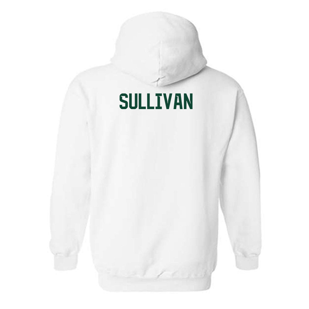 Baylor - NCAA Football : Riley Sullivan - Classic Shersey Hooded Sweatshirt-1