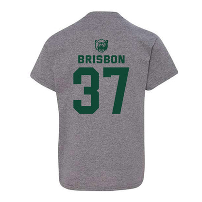 Baylor - NCAA Football : Demetrius Brisbon - Classic Shersey Youth T-Shirt-1