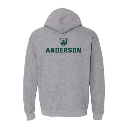 Baylor - NCAA Men's Tennis : Blake Anderson - Classic Shersey Hooded Sweatshirt-1