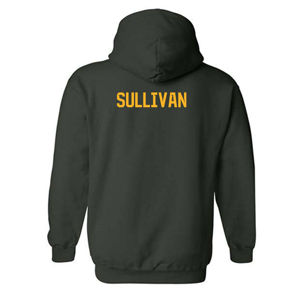 Baylor - NCAA Football : Riley Sullivan - Classic Shersey Hooded Sweatshirt-1