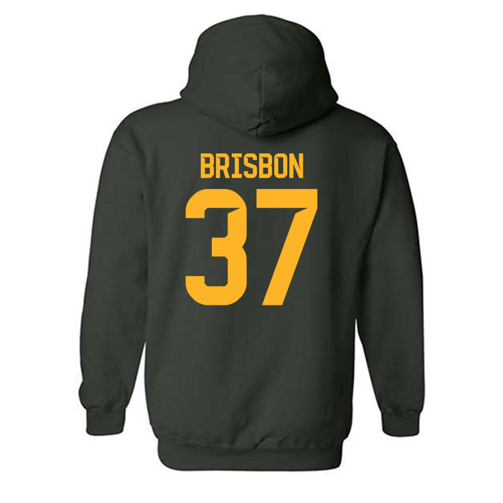 Baylor - NCAA Football : Demetrius Brisbon - Classic Shersey Hooded Sweatshirt-1