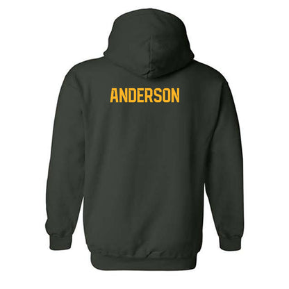 Baylor - NCAA Men's Tennis : Blake Anderson - Classic Shersey Hooded Sweatshirt-1