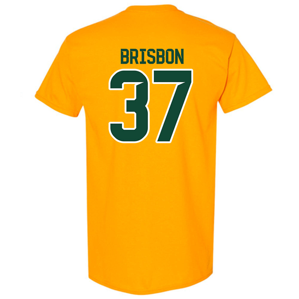 Baylor - NCAA Football : Demetrius Brisbon - Classic Shersey T-Shirt-1
