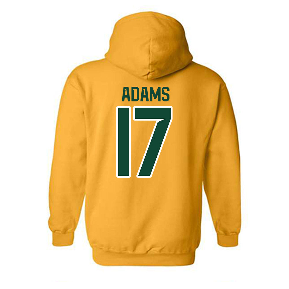 Baylor - NCAA Women's Soccer : Chloe Adams - Classic Shersey Hooded Sweatshirt-1