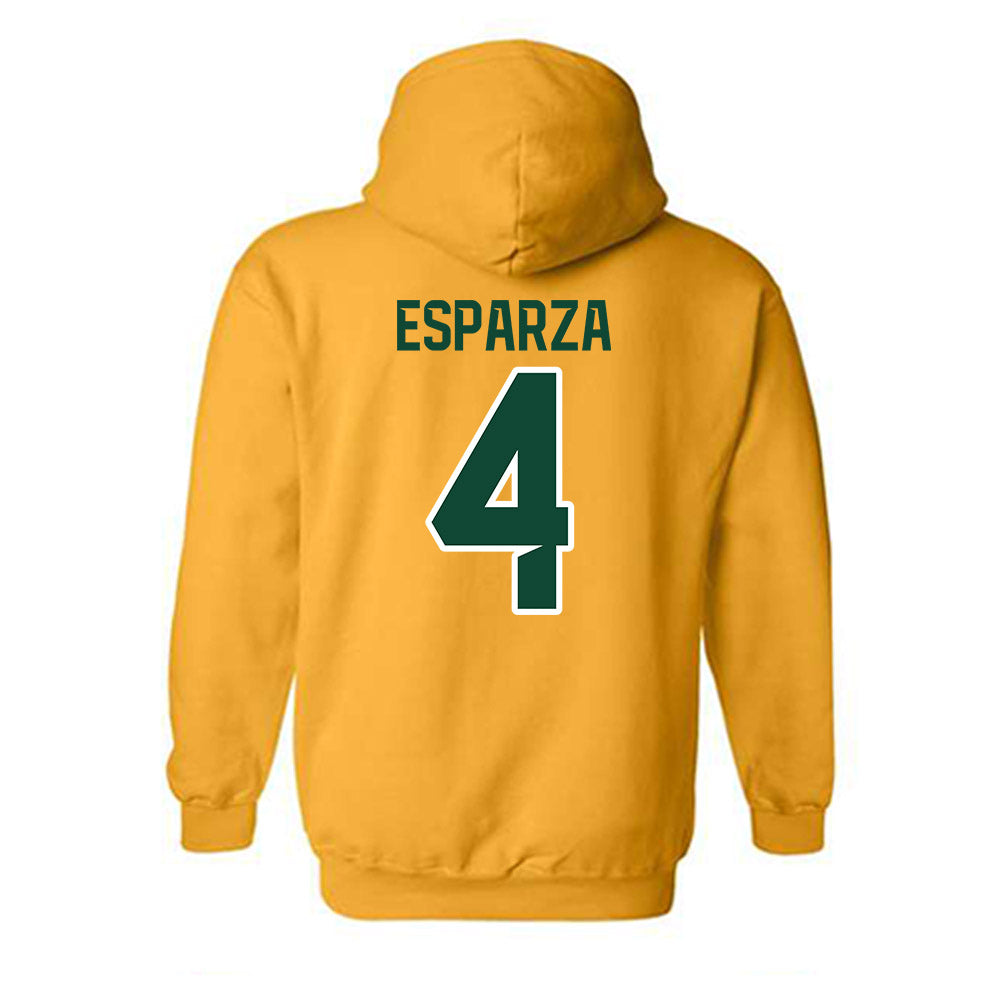 Baylor - NCAA Softball : Charleigh Esparza - Classic Shersey Hooded Sweatshirt-1