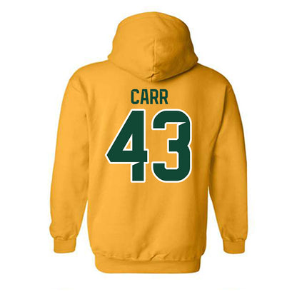 Baylor - NCAA Men's Basketball : Cameron Carr - Classic Shersey Hooded Sweatshirt-1