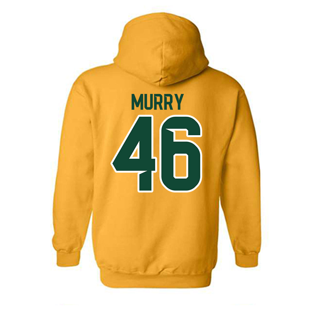 Baylor - NCAA Baseball : Grayson Murry - Classic Shersey Hooded Sweatshirt