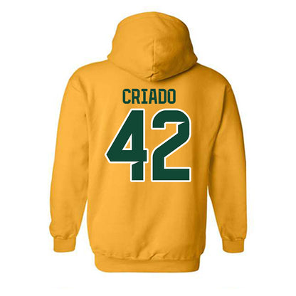 Baylor - NCAA Acrobatics & Tumbling : Sofia Criado - Classic Shersey Hooded Sweatshirt-1