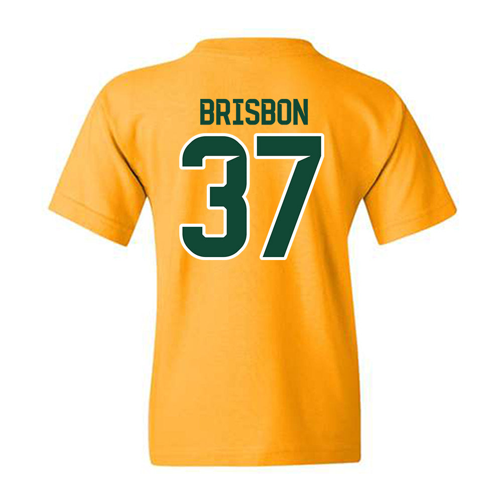 Baylor - NCAA Football : Demetrius Brisbon - Classic Shersey Youth T-Shirt-1