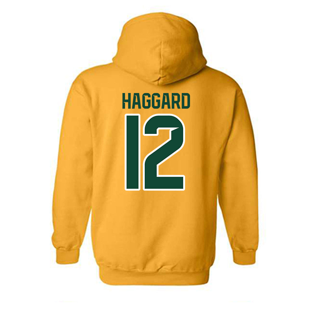 Baylor - NCAA Women's Volleyball : Isabela Haggard - Classic Shersey Hooded Sweatshirt-1