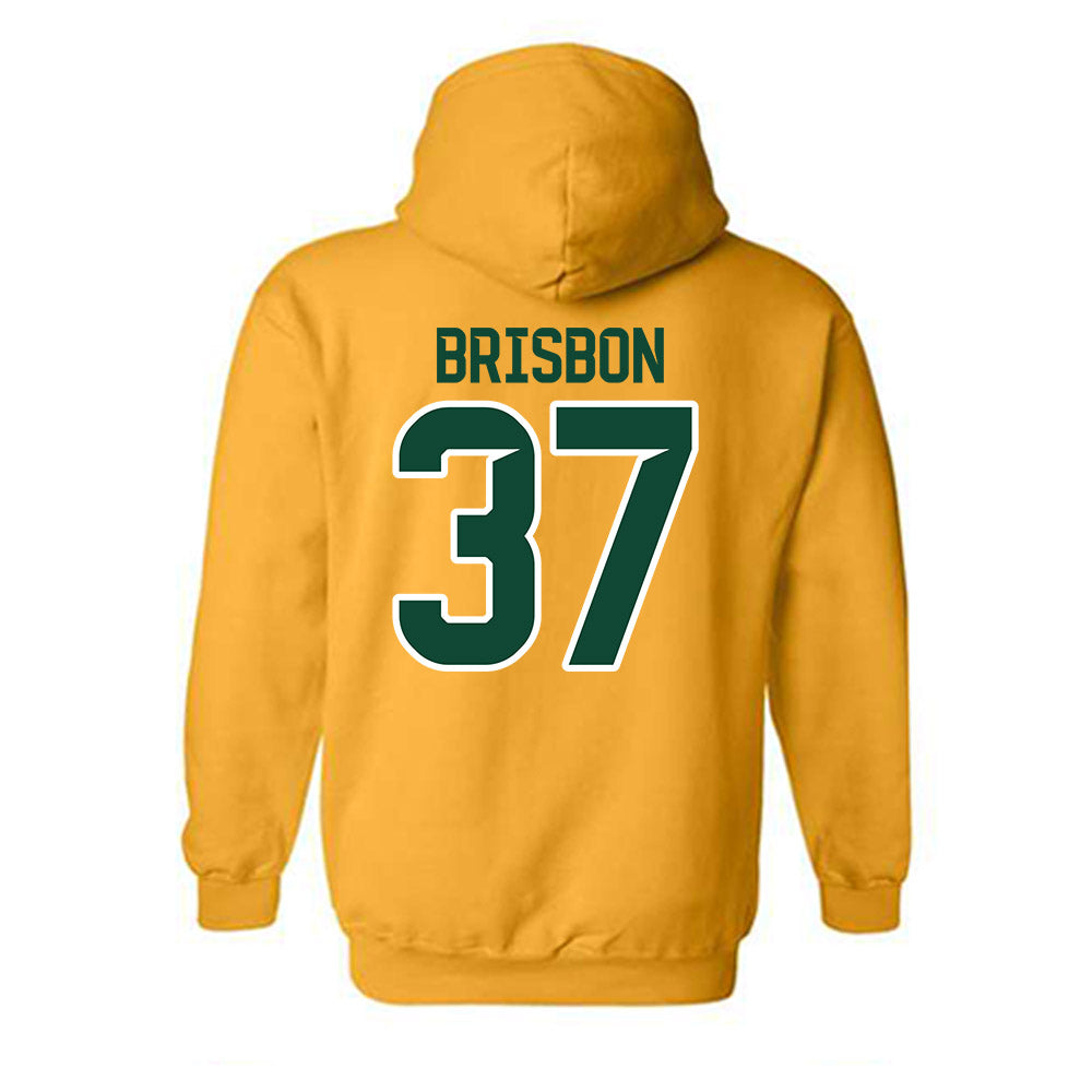 Baylor - NCAA Football : Demetrius Brisbon - Classic Shersey Hooded Sweatshirt-1