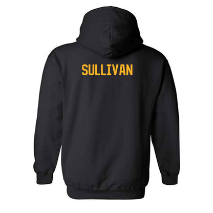 Baylor - NCAA Football : Riley Sullivan - Classic Fashion Shersey Hooded Sweatshirt-1