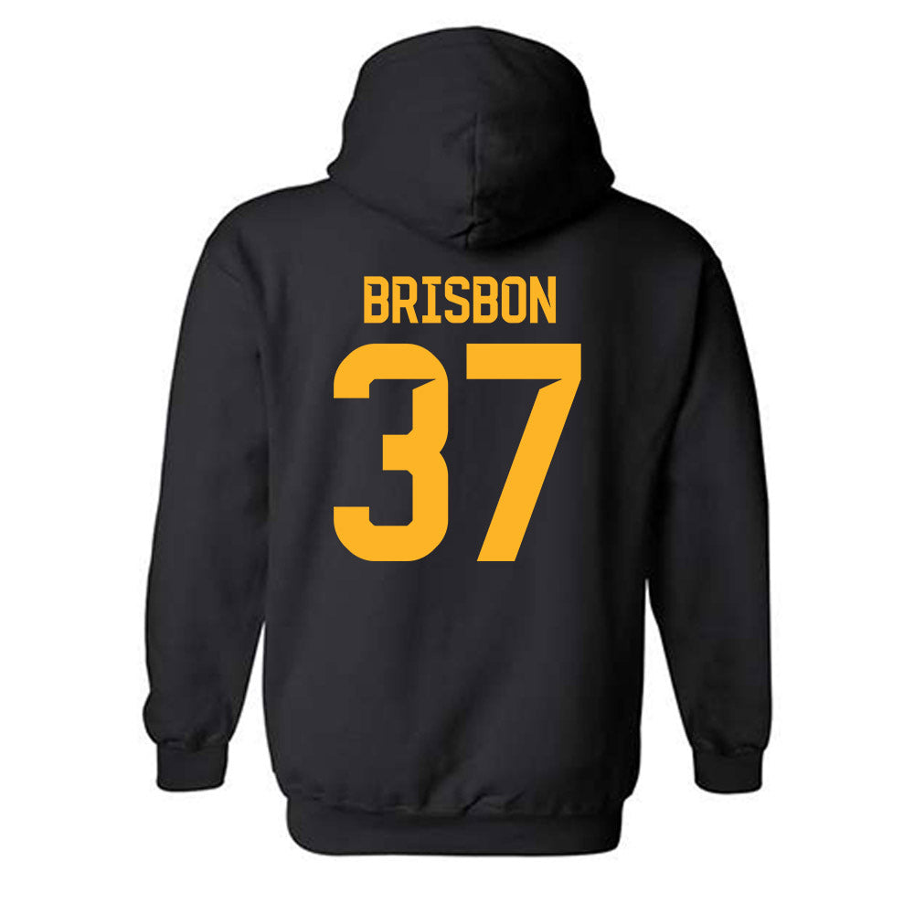 Baylor - NCAA Football : Demetrius Brisbon - Classic Fashion Shersey Hooded Sweatshirt-1