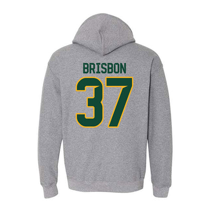 Baylor - NCAA Football : Demetrius Brisbon - Classic Fashion Shersey Hooded Sweatshirt-1
