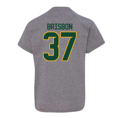 Baylor - NCAA Football : Demetrius Brisbon - Classic Fashion Shersey Youth T-Shirt-1