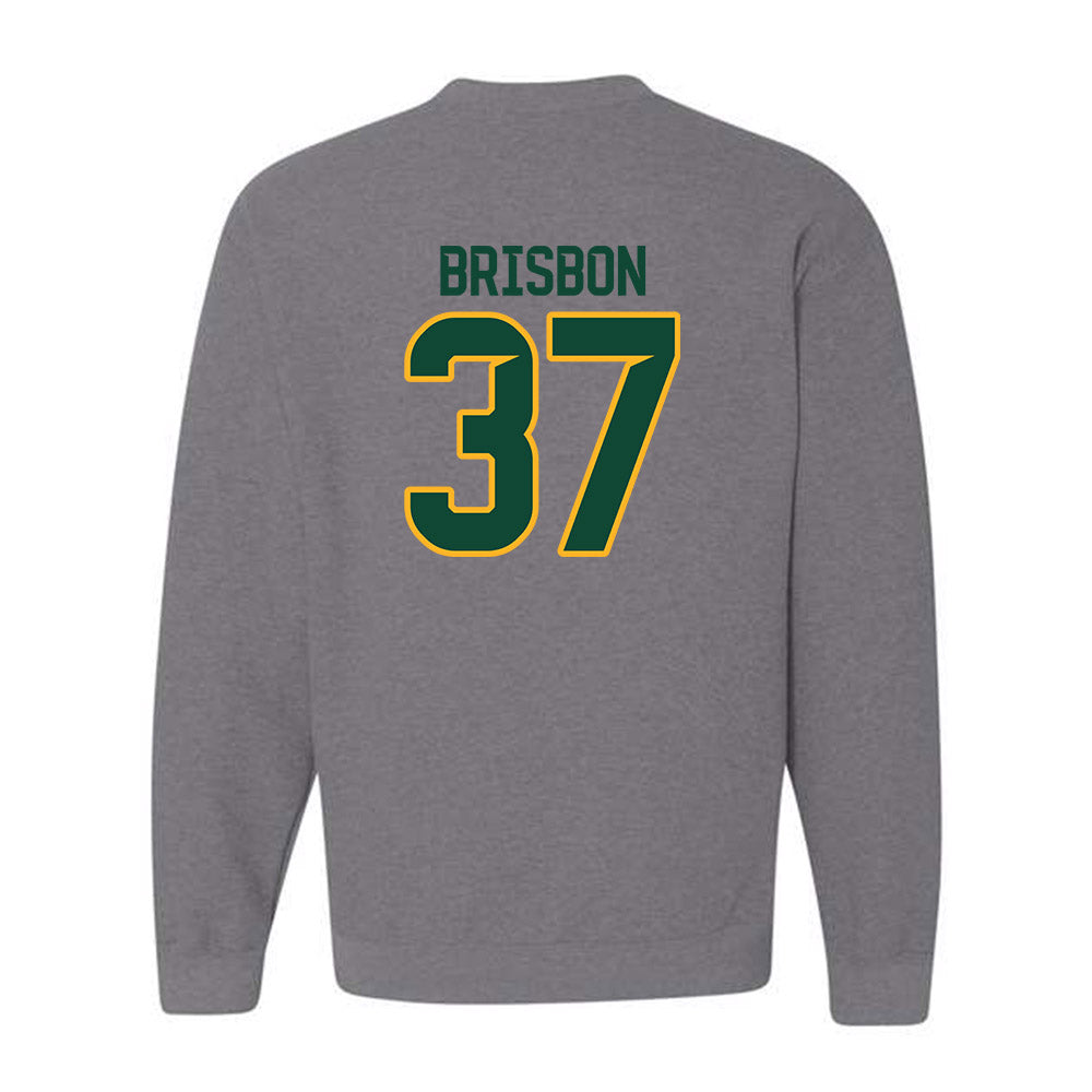 Baylor - NCAA Football : Demetrius Brisbon - Classic Fashion Shersey Crewneck Sweatshirt-1