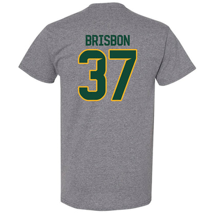 Baylor - NCAA Football : Demetrius Brisbon - Classic Fashion Shersey T-Shirt-1