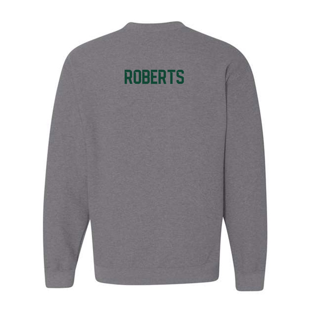 Baylor - NCAA Football : David Roberts - Classic Fashion Shersey Crewneck Sweatshirt-1