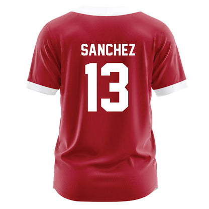 Nicholls State - NCAA Softball : Hailee Sanchez - Red Jersey-1