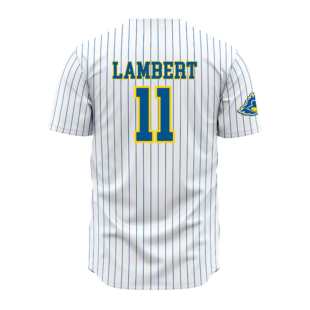 Delaware - NCAA Baseball : Luke Lambert - Pinstripe Jersey-1
