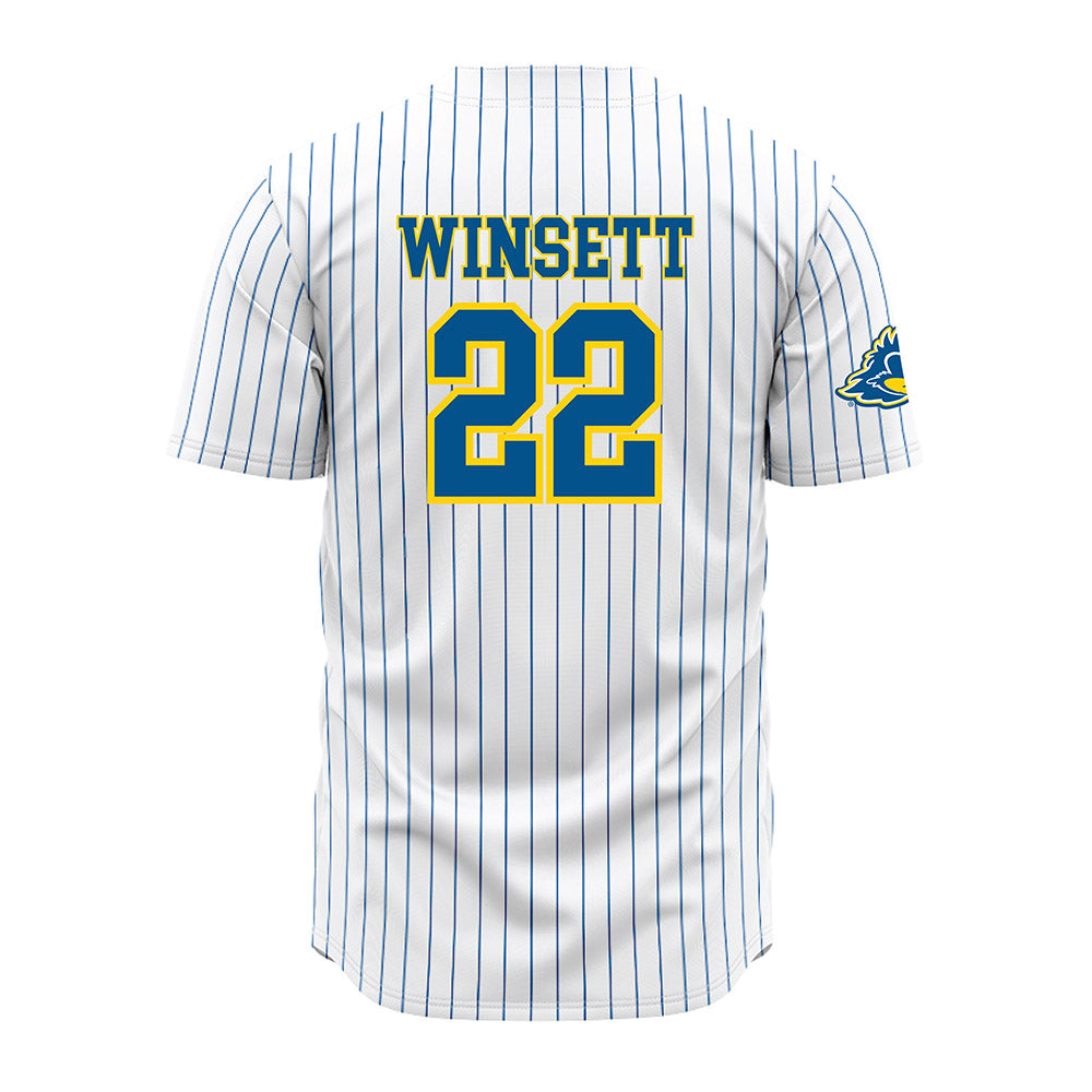 Delaware - NCAA Baseball : Sam Winsett - Pinstripe Jersey-1