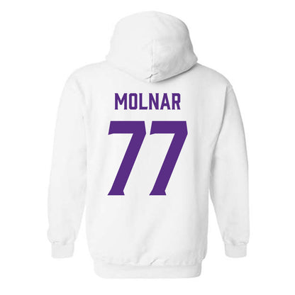 Furman - NCAA Men's Basketball : Davis Molnar - Classic Fashion Shersey Hooded Sweatshirt-1