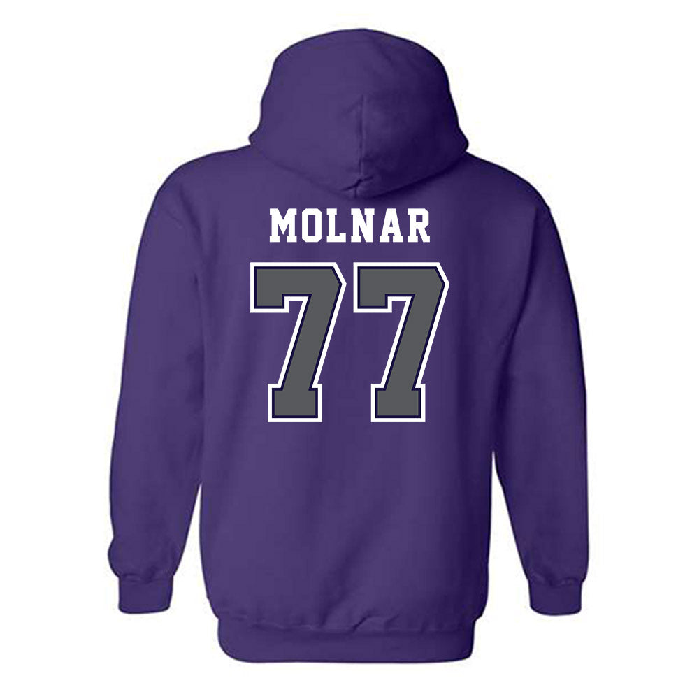 Furman - NCAA Men's Basketball : Davis Molnar - Classic Shersey Hooded Sweatshirt-1