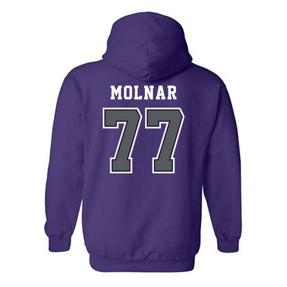 Furman - NCAA Men's Basketball : Davis Molnar - Classic Shersey Hooded Sweatshirt-1