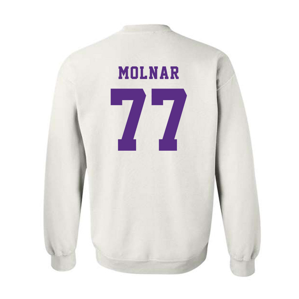 Furman - NCAA Men's Basketball : Davis Molnar - Classic Shersey Crewneck Sweatshirt-1