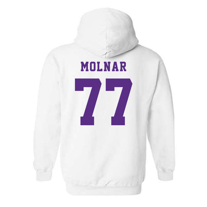 Furman - NCAA Men's Basketball : Davis Molnar - Classic Shersey Hooded Sweatshirt-1
