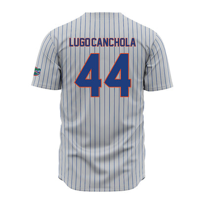 Florida - NCAA Baseball : Ernesto Lugo-Canchola - Grey Pinstripe Jersey-1