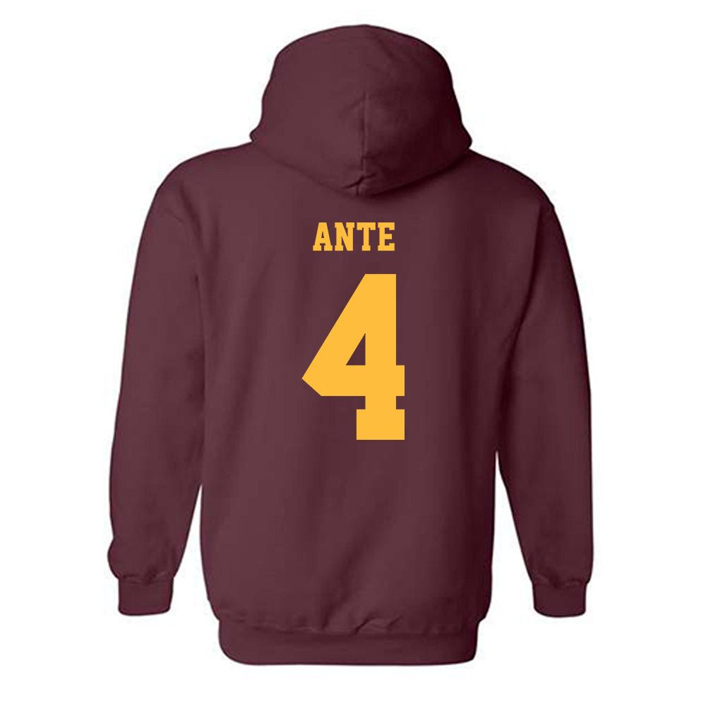 Minnesota - NCAA Women's Tennis : Jeselle Ante - Classic Fashion Shersey Hooded Sweatshirt-1