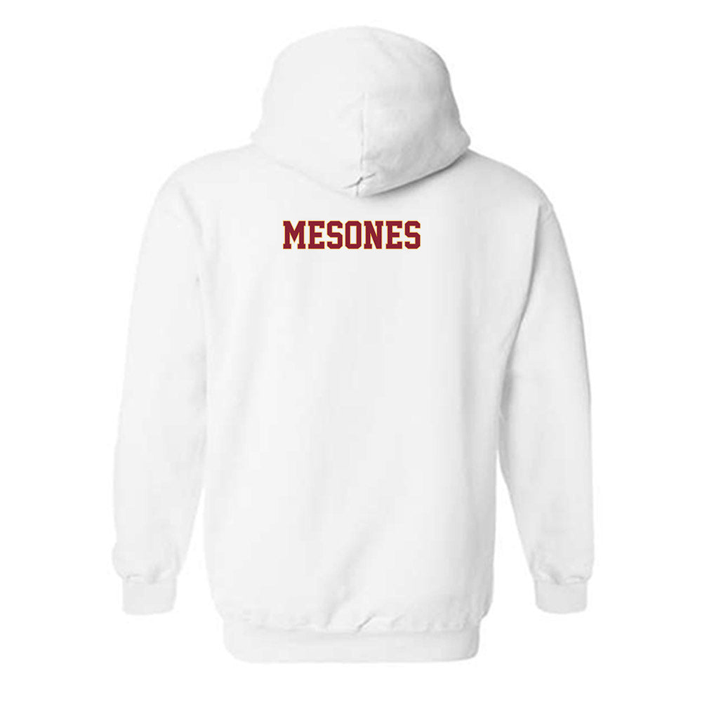 Minnesota - NCAA Women's Golf : Mariana Mesones - Classic Fashion Shersey Hooded Sweatshirt-1