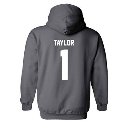 Minnesota - NCAA Football : Darius Taylor - Classic Fashion Shersey Hooded Sweatshirt