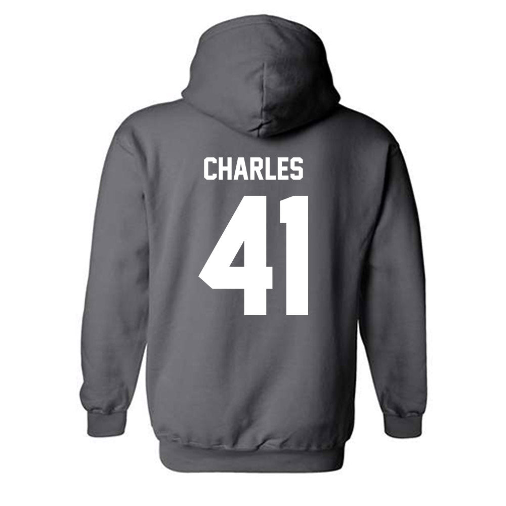 Minnesota - NCAA Football : Anthony Charles - Classic Fashion Shersey Hooded Sweatshirt-1