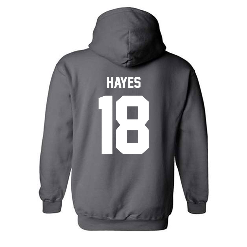 Minnesota - NCAA Football : Donielle Hayes - Classic Fashion Shersey Hooded Sweatshirt-1