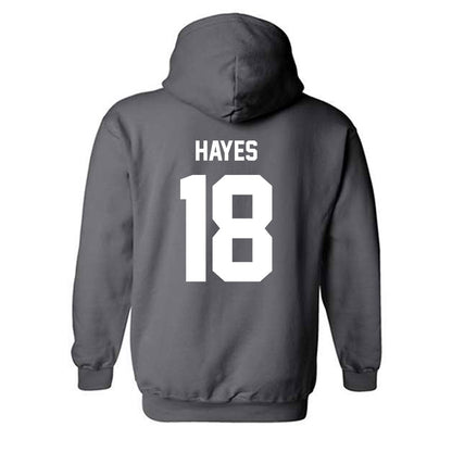 Minnesota - NCAA Football : Donielle Hayes - Classic Fashion Shersey Hooded Sweatshirt-1