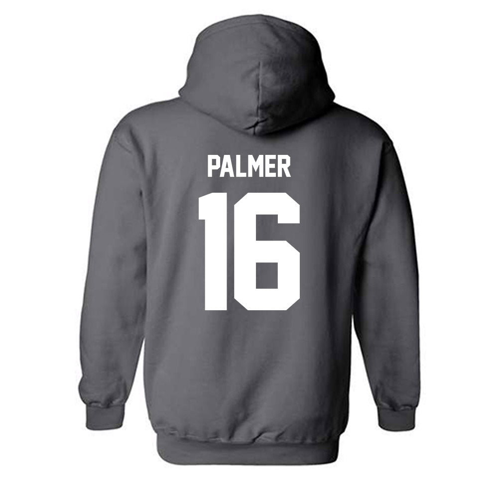 Minnesota - NCAA Football : Brady Palmer - Classic Fashion Shersey Hooded Sweatshirt-1