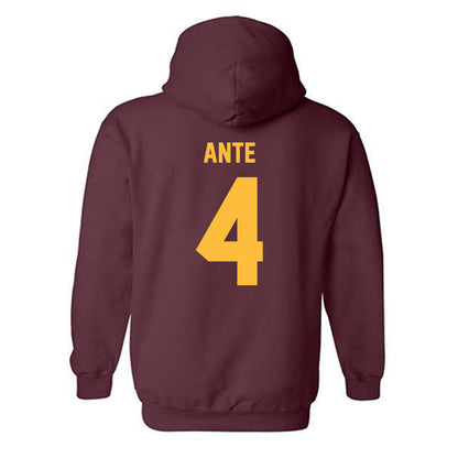 Minnesota - NCAA Women's Tennis : Jeselle Ante - Classic Shersey Hooded Sweatshirt-1
