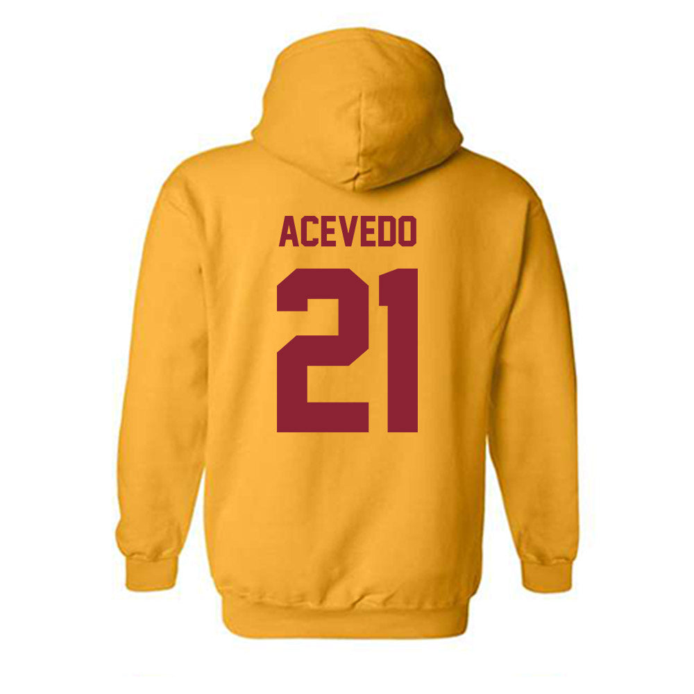 Minnesota - NCAA Women's Volleyball : Alex Acevedo - Classic Shersey Hooded Sweatshirt-1