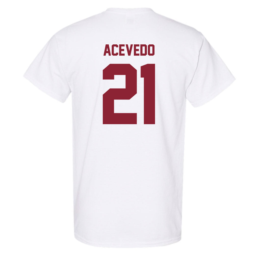 Minnesota - NCAA Women's Volleyball : Alex Acevedo - Classic Shersey T-Shirt-1