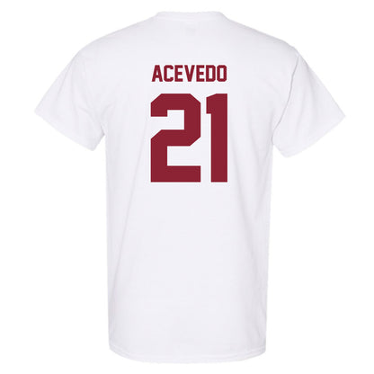 Minnesota - NCAA Women's Volleyball : Alex Acevedo - Classic Shersey T-Shirt-1