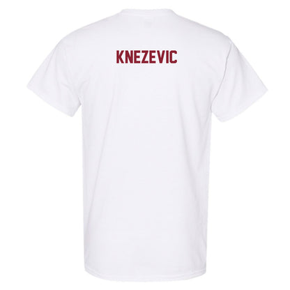 Minnesota - NCAA Women's Tennis : Nora Knezevic - Classic Shersey T-Shirt-1
