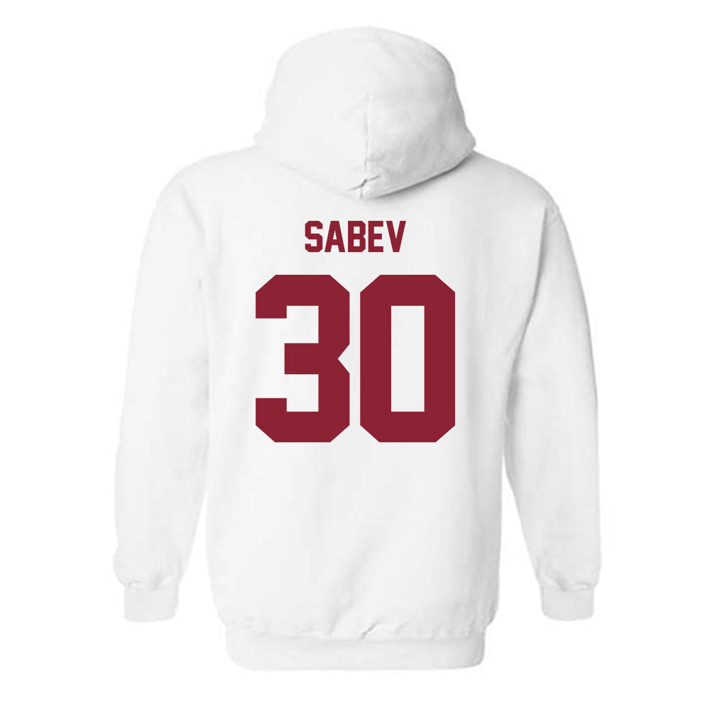 Minnesota - NCAA Men's Ice Hockey : Alexander Sabev - Classic Shersey Hooded Sweatshirt-1