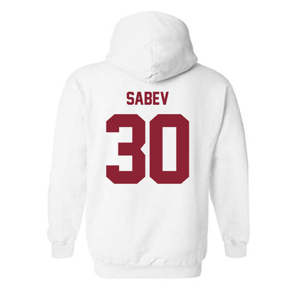 Minnesota - NCAA Men's Ice Hockey : Alexander Sabev - Classic Shersey Hooded Sweatshirt-1
