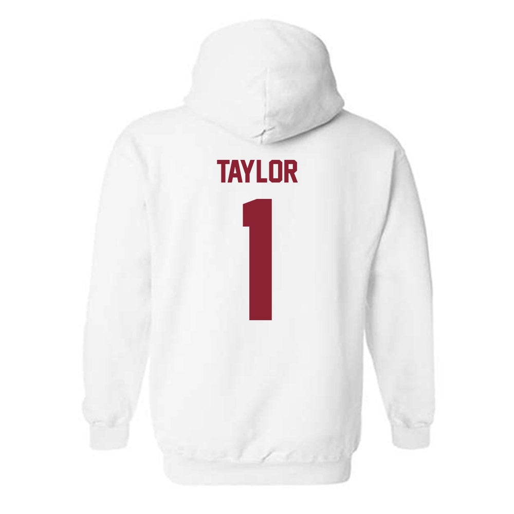 Minnesota - NCAA Football : Darius Taylor - Classic Shersey Hooded Sweatshirt