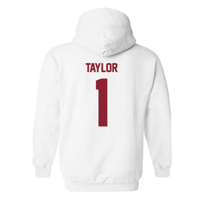 Minnesota - NCAA Football : Darius Taylor - Classic Shersey Hooded Sweatshirt