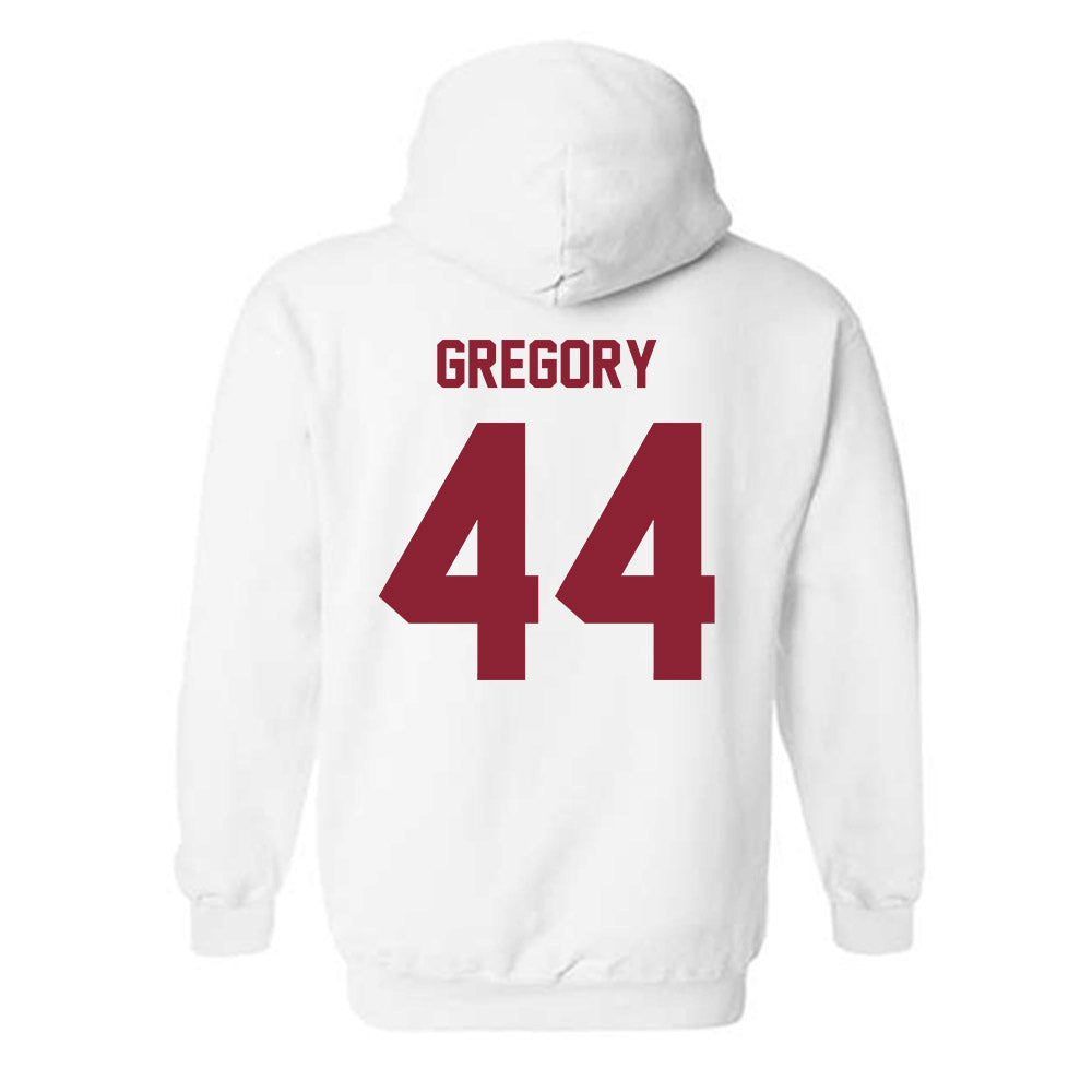 Minnesota - NCAA Baseball : Ben Gregory - Classic Shersey Hooded Sweatshirt-1