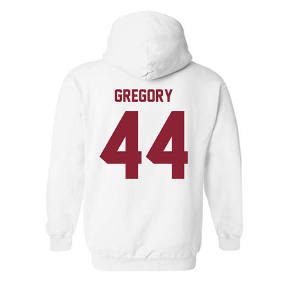 Minnesota - NCAA Baseball : Ben Gregory - Classic Shersey Hooded Sweatshirt-1